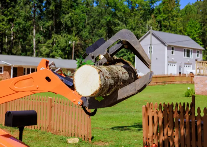 tree removal, junk removal and yard cleanup services Home services in Howard WI