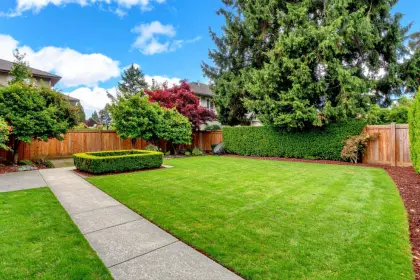 Tree removal and yard services for residential properties in Green Bay WI